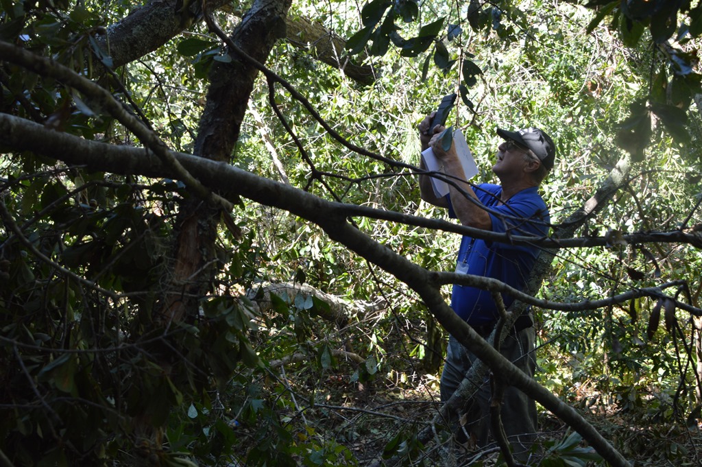 Town of Bluffton employee documenting hurricane damage