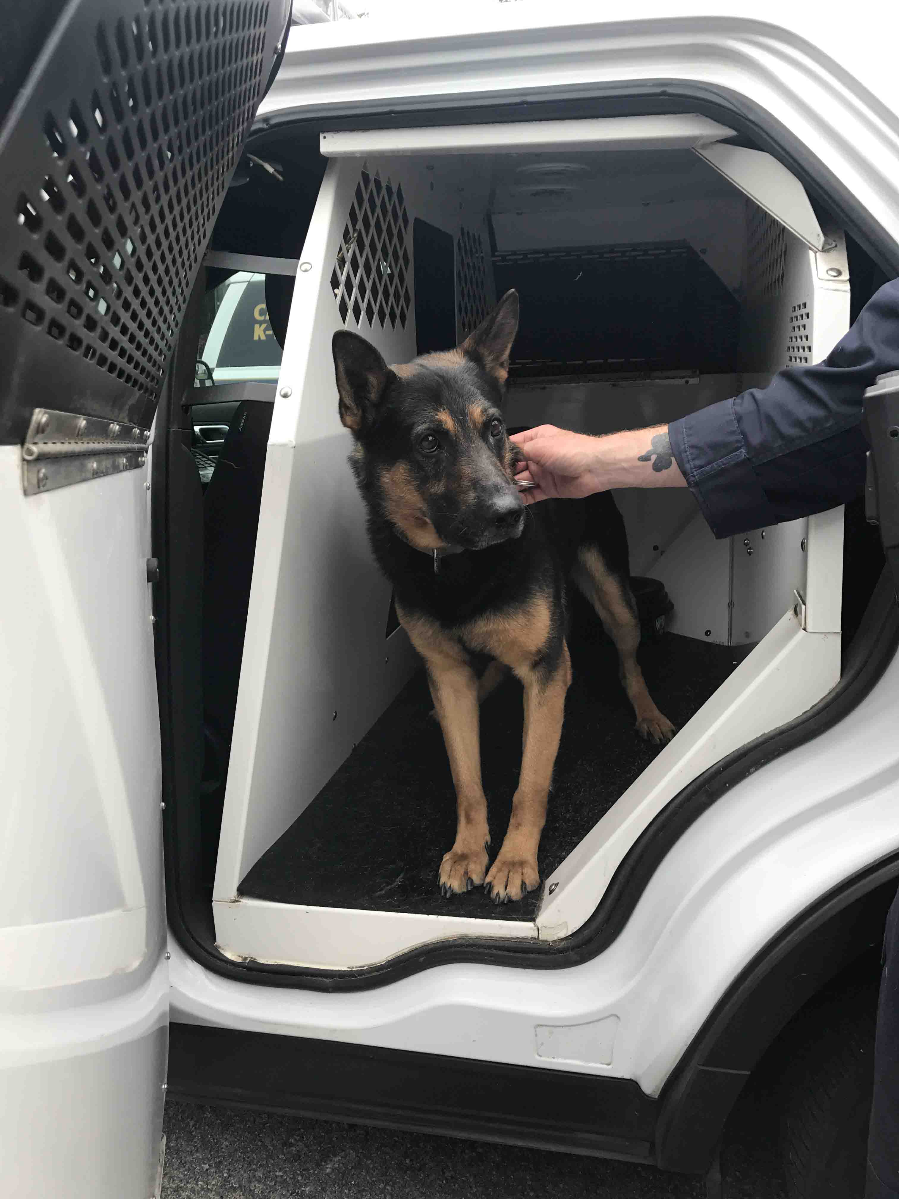 City of Columbia K-9 officer