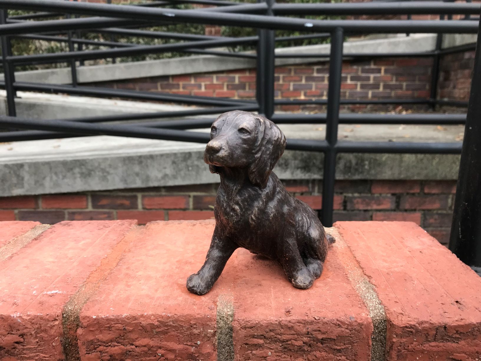 City of Camden Boykin Spaniel Invasion