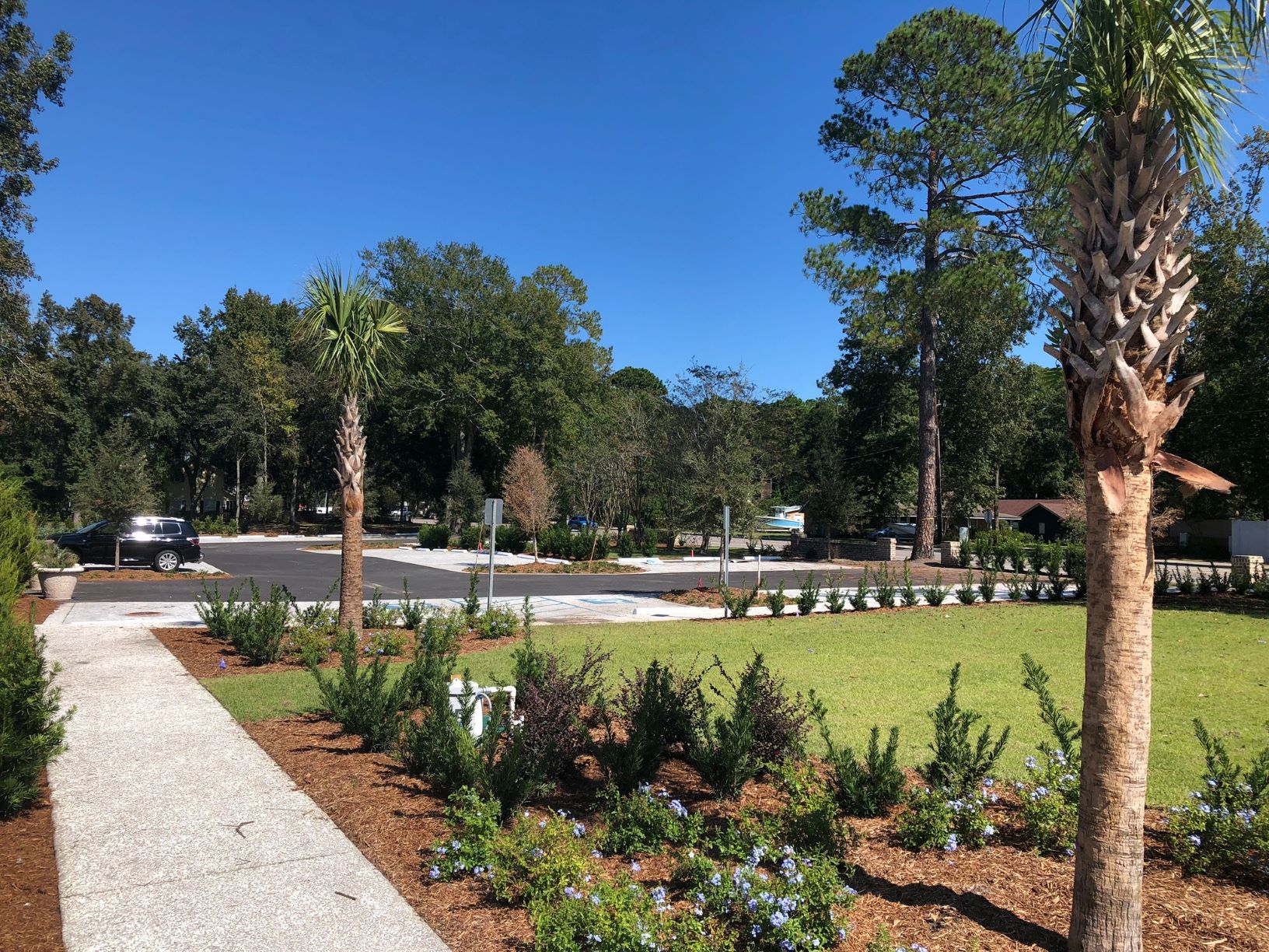 Parking lot situated along Bluffton Road