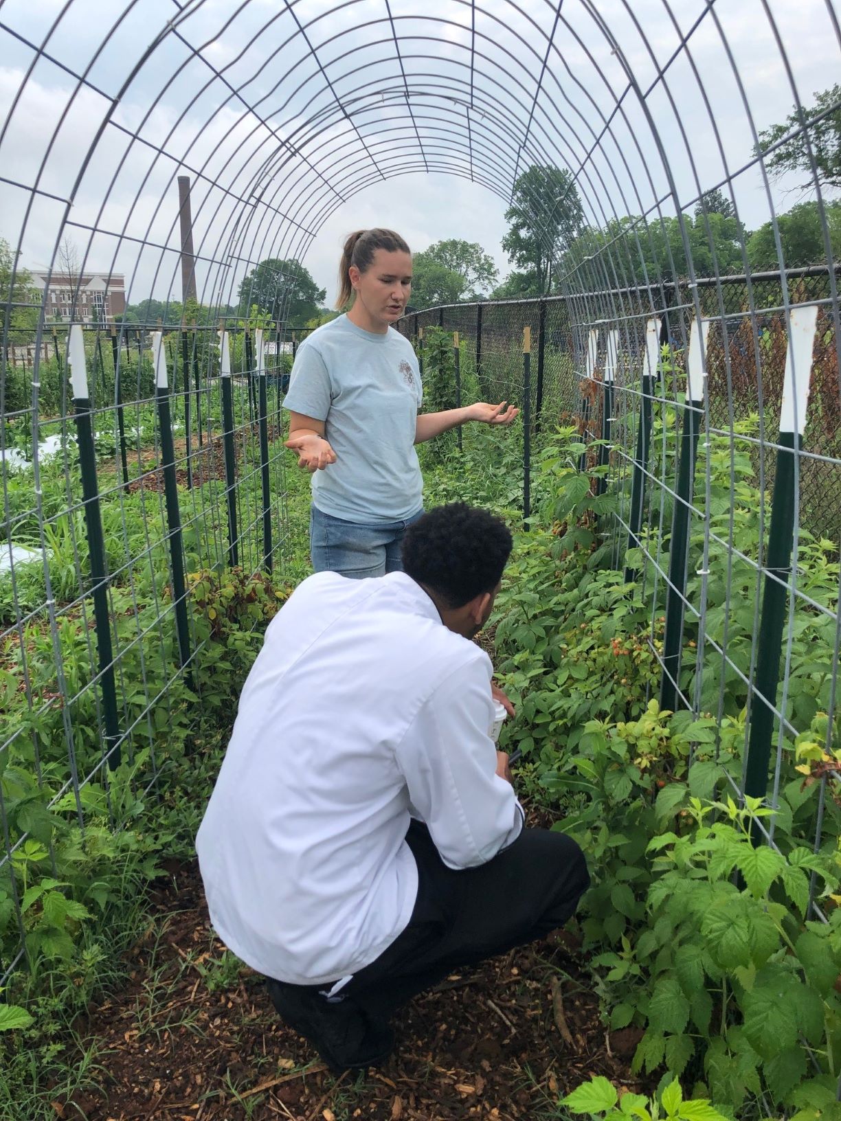 Hub City Farmers Market's urban farm, Spartanburg, SC