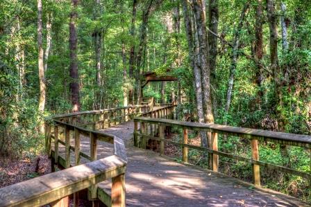 Walterboro Wildlife Sanctuary